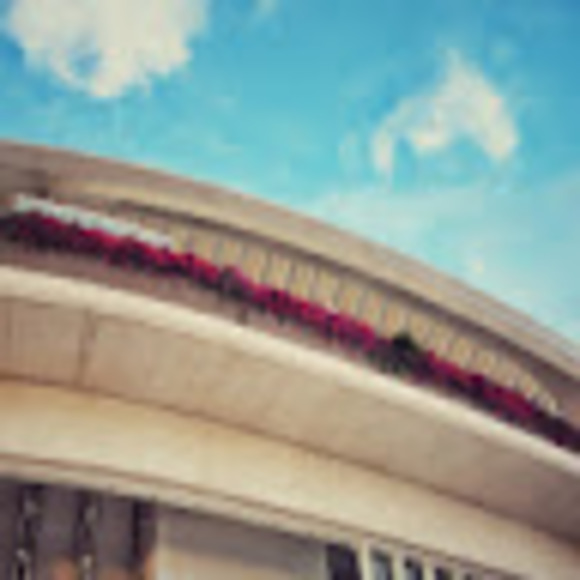 Meet your Posher, Chandni - Picture 1 of 1